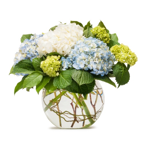 Mighty Hydrangea Bouquet at Scent and Violet in Houston TX