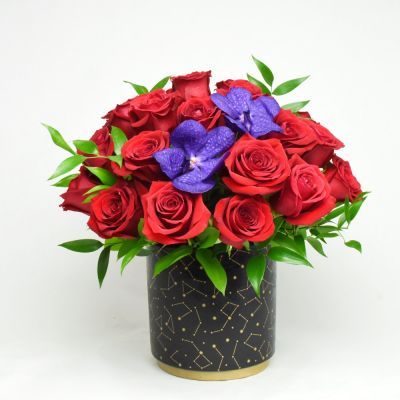 Written in The Stars