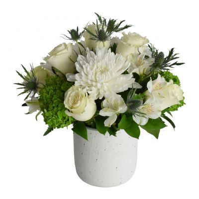 Healing White Flowers