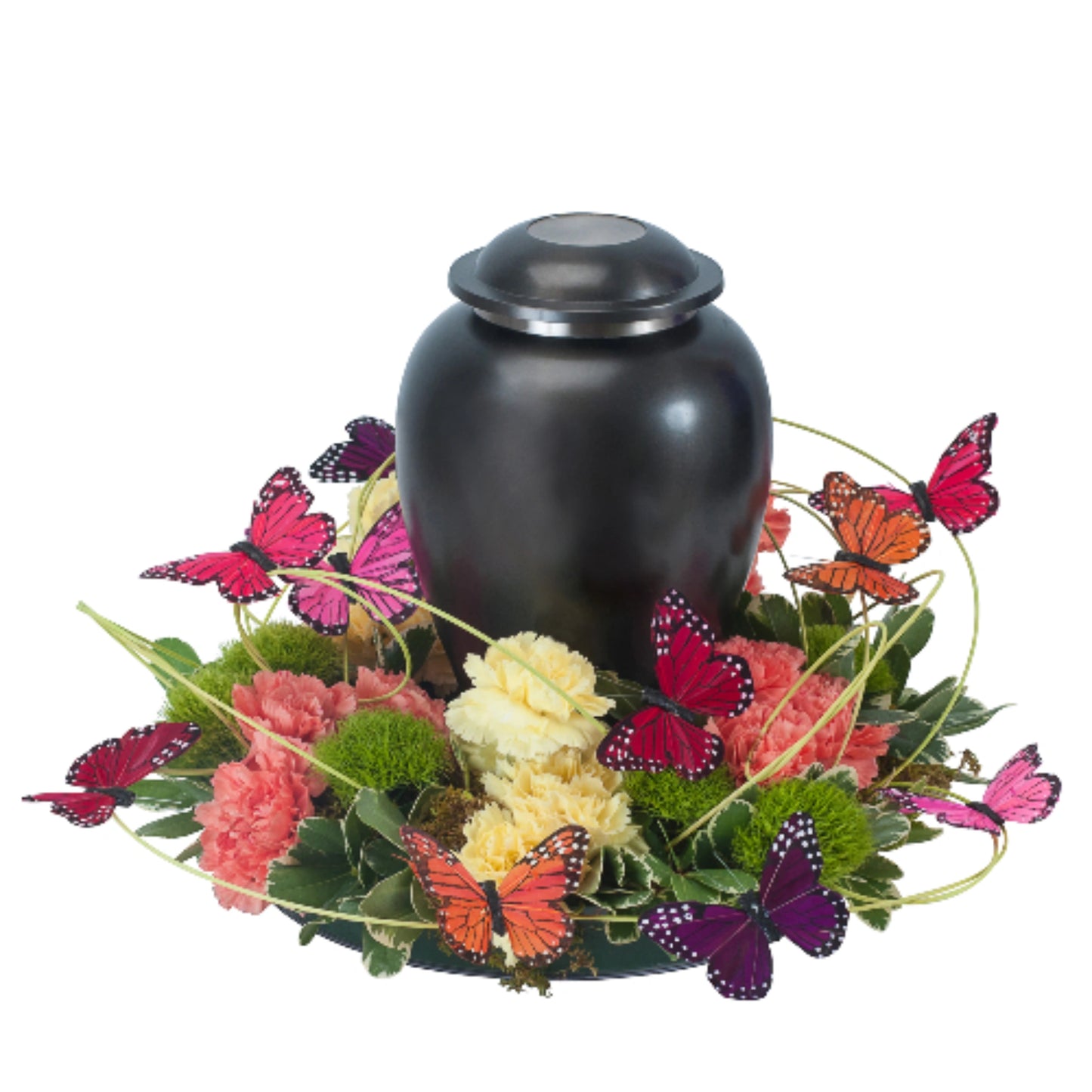 Beautiful Butterfly Surround