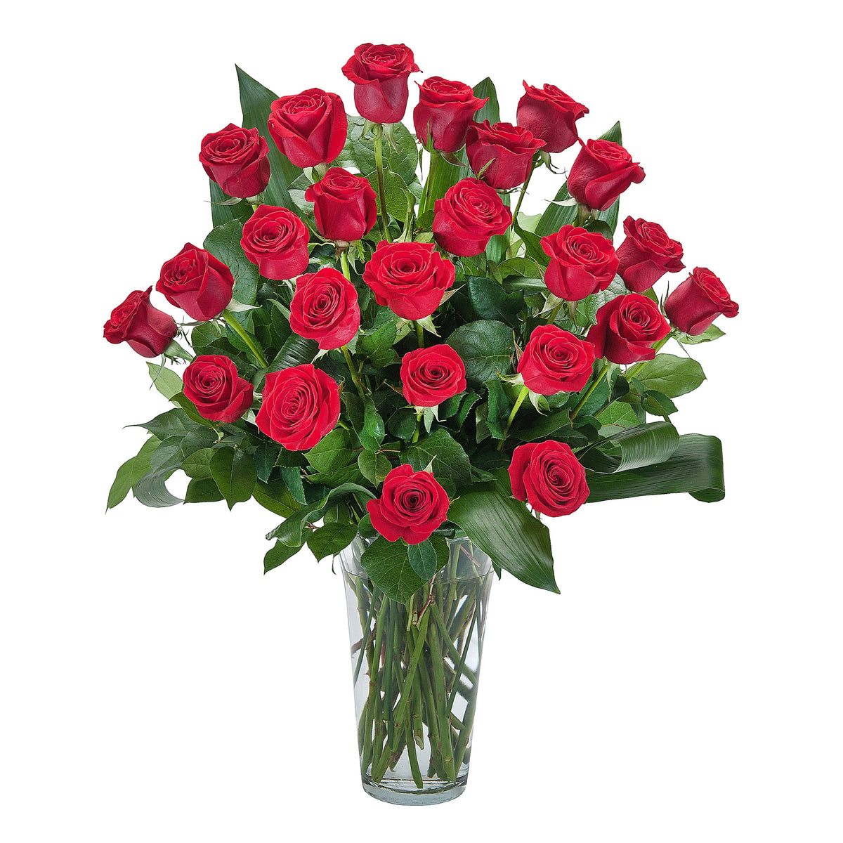 Red Roses Inhouston Classic Long-Stem Red Roses – Scent & Violet