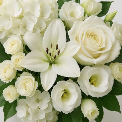 Visual representation of Scent & Violet’s classic white and green collection palette featuring flowers in white and green. Photo is a sample of color tone and not actual flowers used in the arrangement 