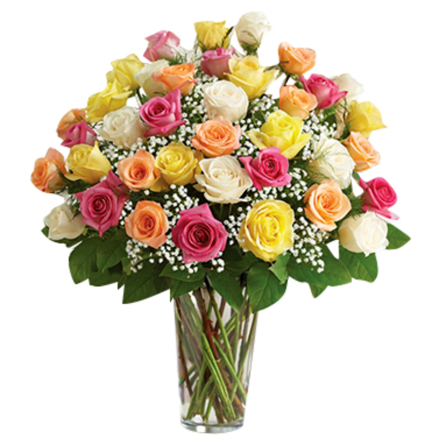 Long-Stem Roses - Mix it up