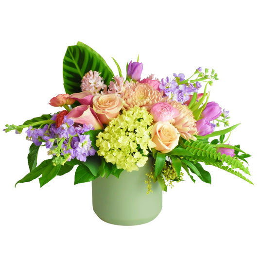 Groundbreaking Spring