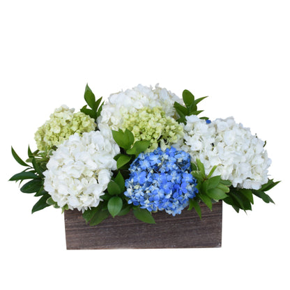 The Hydrangea Collection