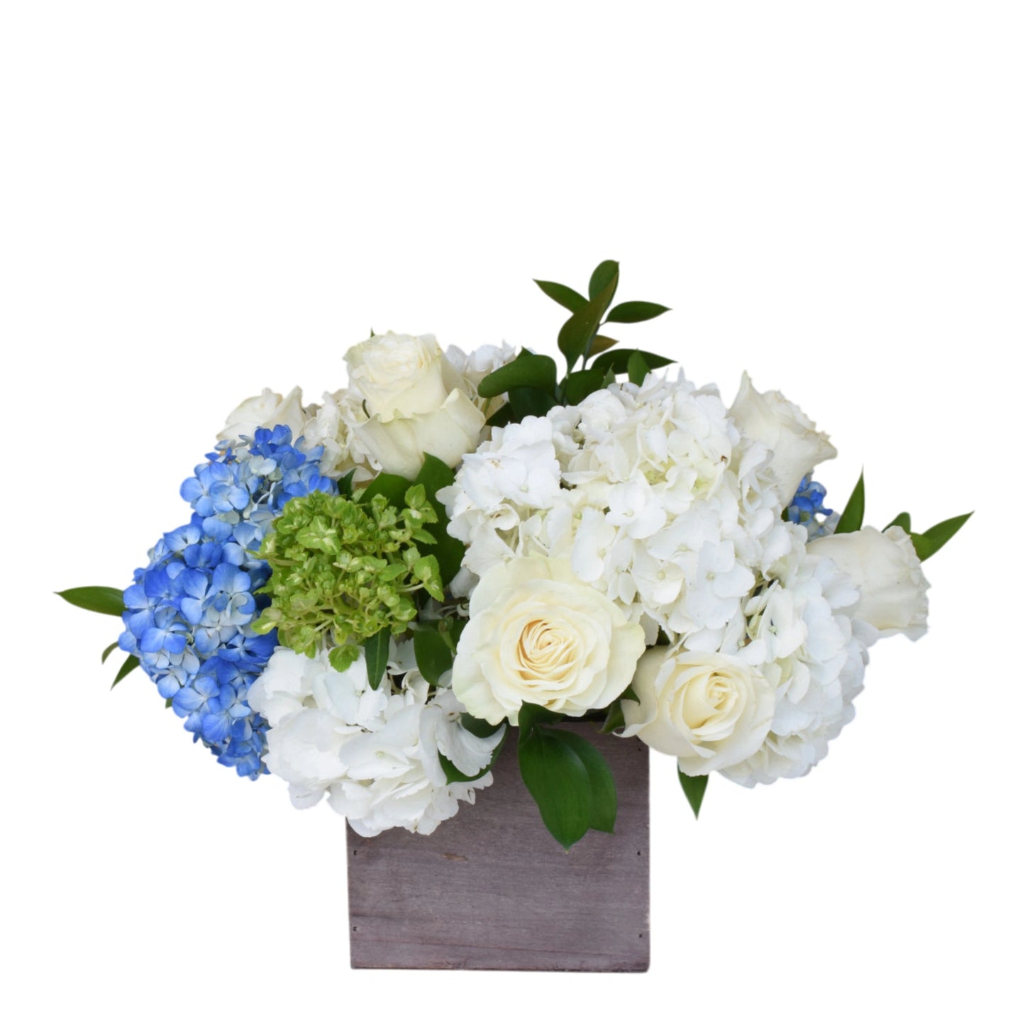 The Hydrangea Collection