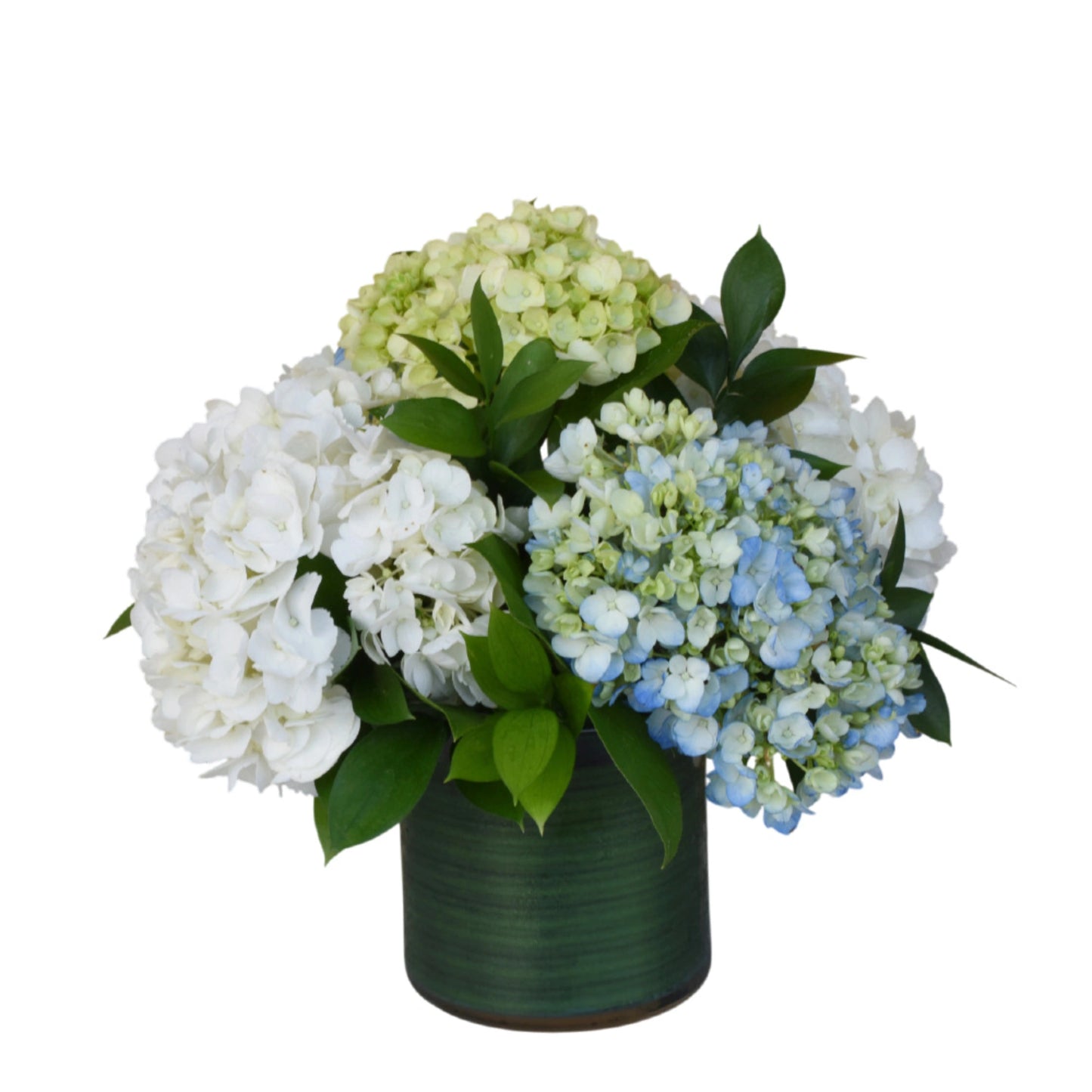 The Hydrangea Collection