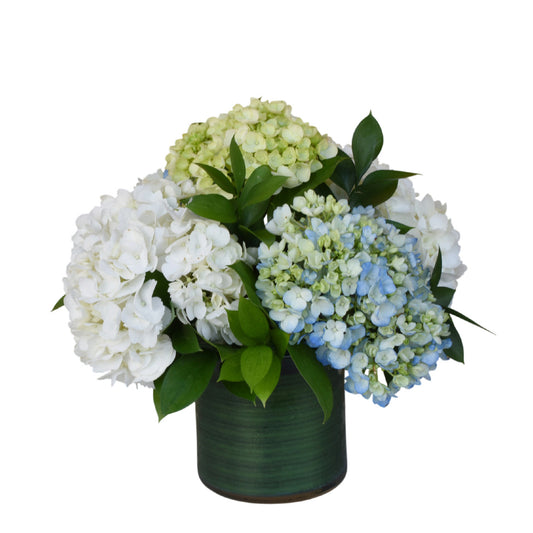 The Hydrangea Collection - Small