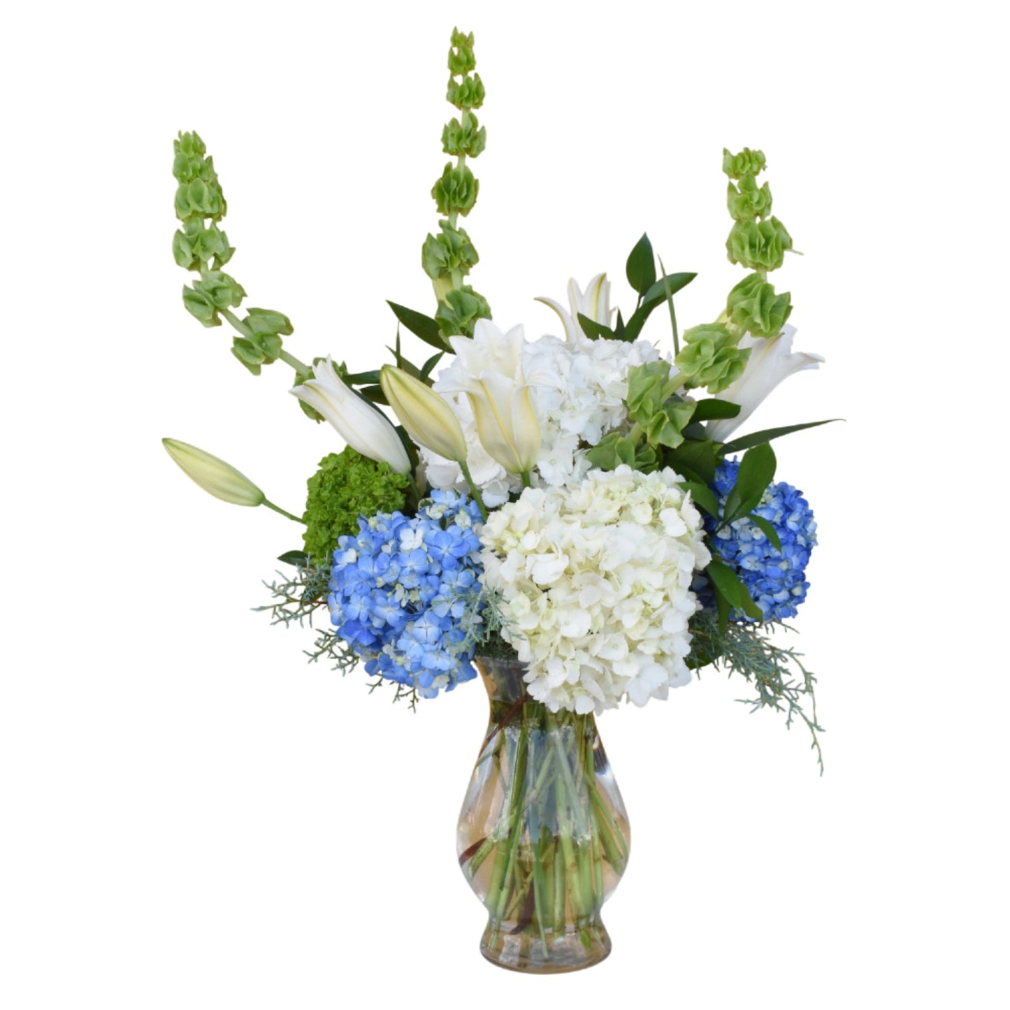 The Hydrangea Collection