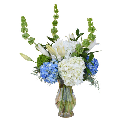 The Hydrangea Collection