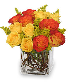 Phoenix Roses