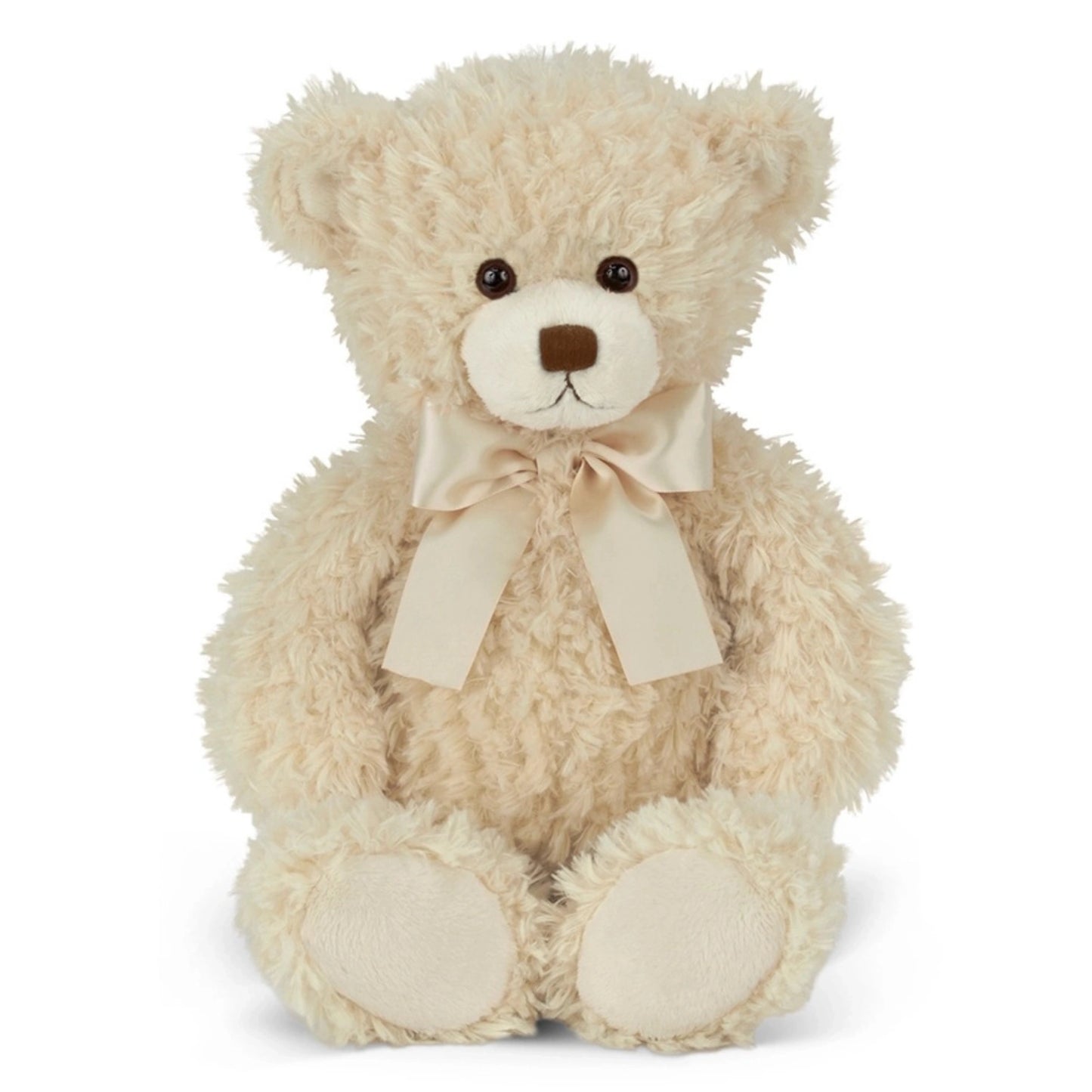 Plush Teddy Bear