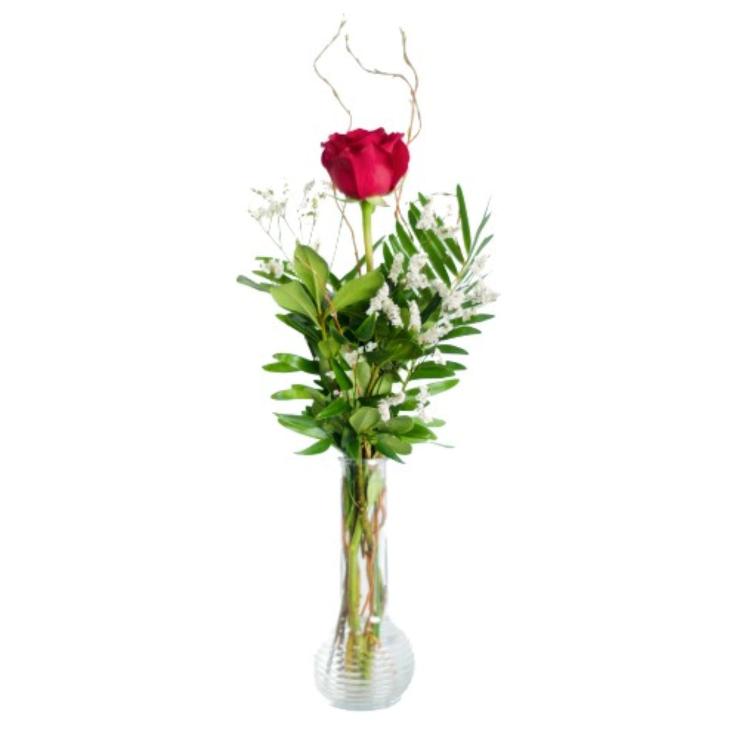 Single red rose in a clear vase with foliage and accent flowers designed by Scent & Violet florist in Houston, TX