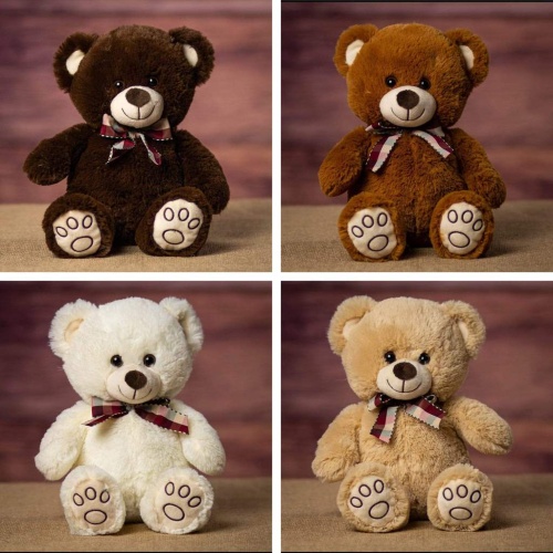 Types of teddy sales bear