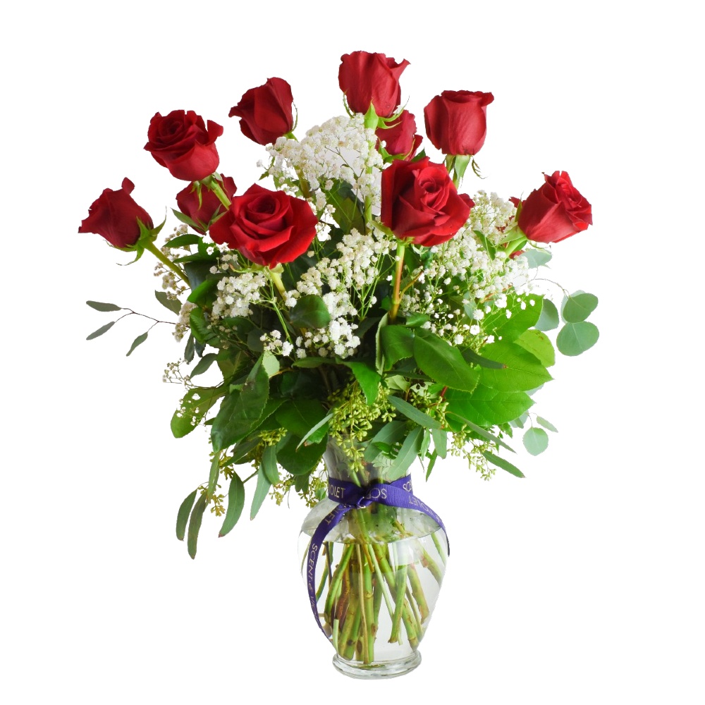 Classic Dozen Long Stem Red Roses with Baby's Breath