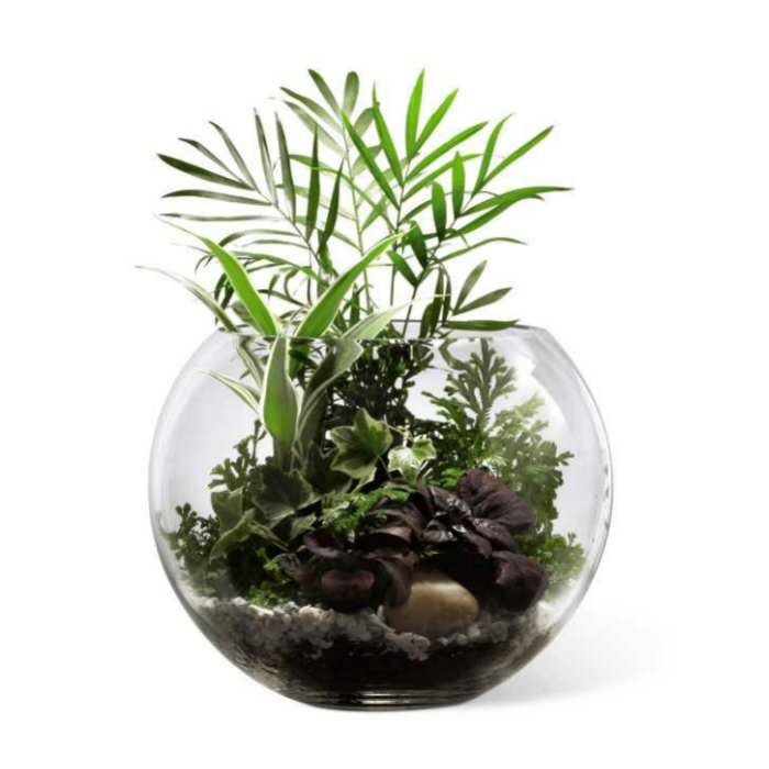 lush-greens-terrarium-scentandviolet-flowers-gifts-houston-tx 1.jpg