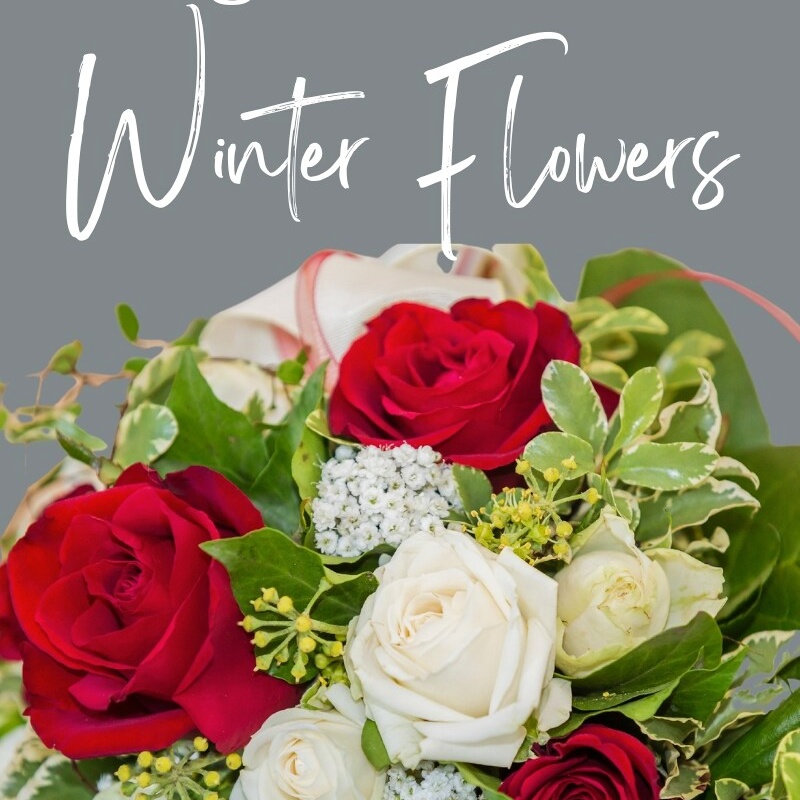 Florist designed arrangement Low and Lush Style Scent & Violet