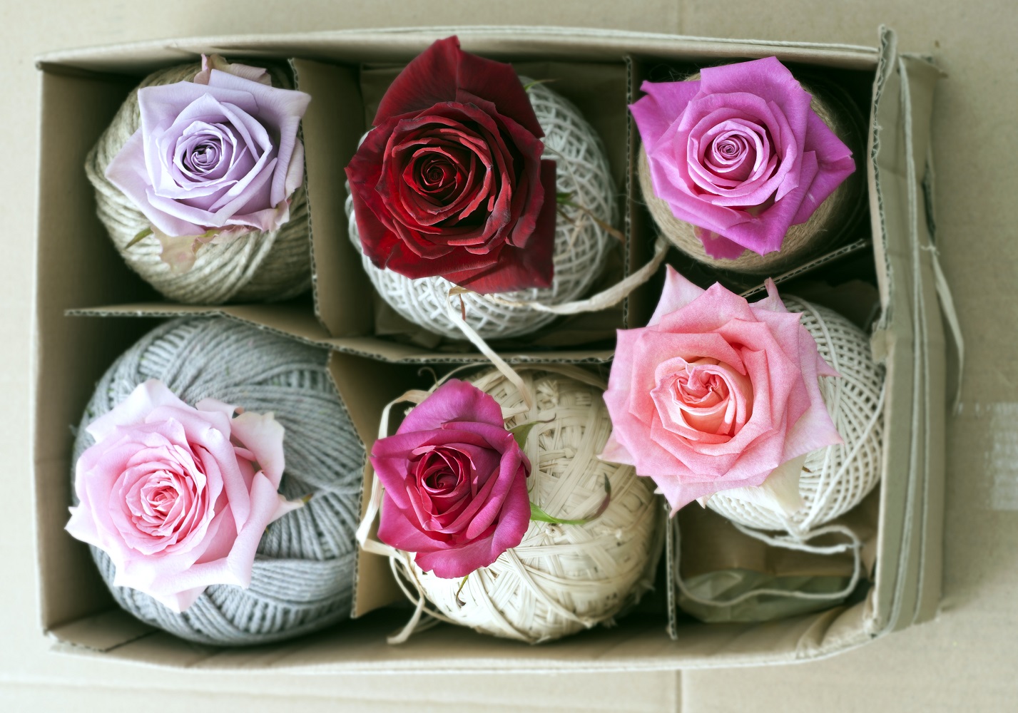 roses-crochet-scentandviolet-houston.jpg