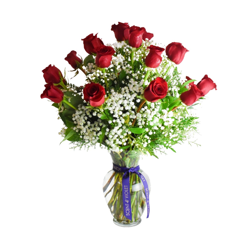 Classic Two Dozen Red Roses with Baby's Breath at Scent & Violet