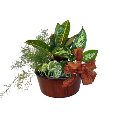 Fall Planter in Houston, TX