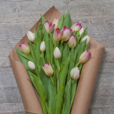 Market Style Bouquet of Tulips in Houston, TX