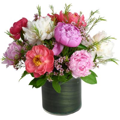 So You Like Peonies in Houston, TX