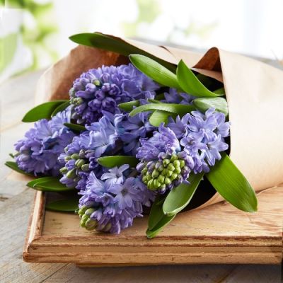 Market Style Bouquet of Hyacinths in Houston, TX