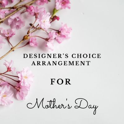 Designer's Choice Arrangement for Mother's Day - Small  in Houston, TX