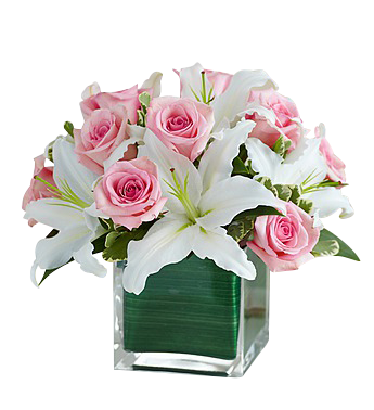 Pink roses and white lilies cube in Houston, TX