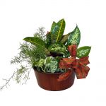 Fall Planter in Houston, TX