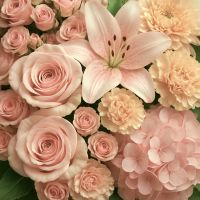 Peachy Pink Collection - Grand in Houston, TX
