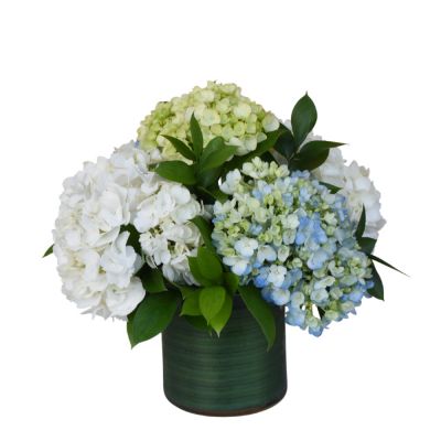 The Hydrangea Collection - Small in Houston, TX