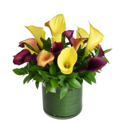 Special: All About That Calla in Houston, TX